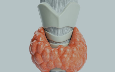 Non-Surgical Treatment of Thyroid Nodules: Advances in Ablation Therapy