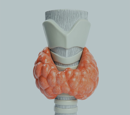 Non-Surgical Treatment of Thyroid Nodules: Advances in Ablation Therapy